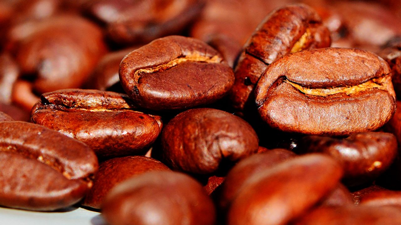 Com raízes na cafeicultura, Cocari é destaque na produção de café de ...
